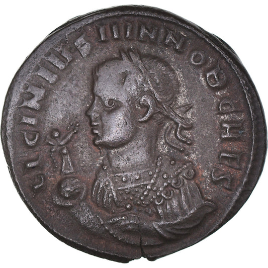 Moneta, 
  
  Licyniusz II, 
  
  Follis