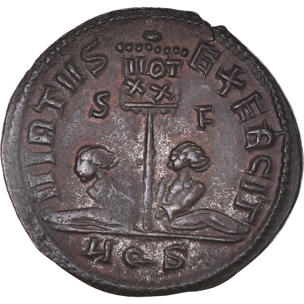 Moneta, 
  
  Licyniusz II, 
  
  Follis