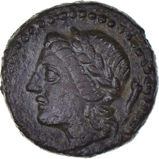 Moneta, 
  
  Sycylia, 
  
  Æ