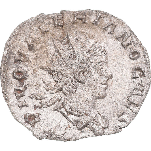 Moneta, 
  
  Divus Walerian II, 
  
  Antoninian