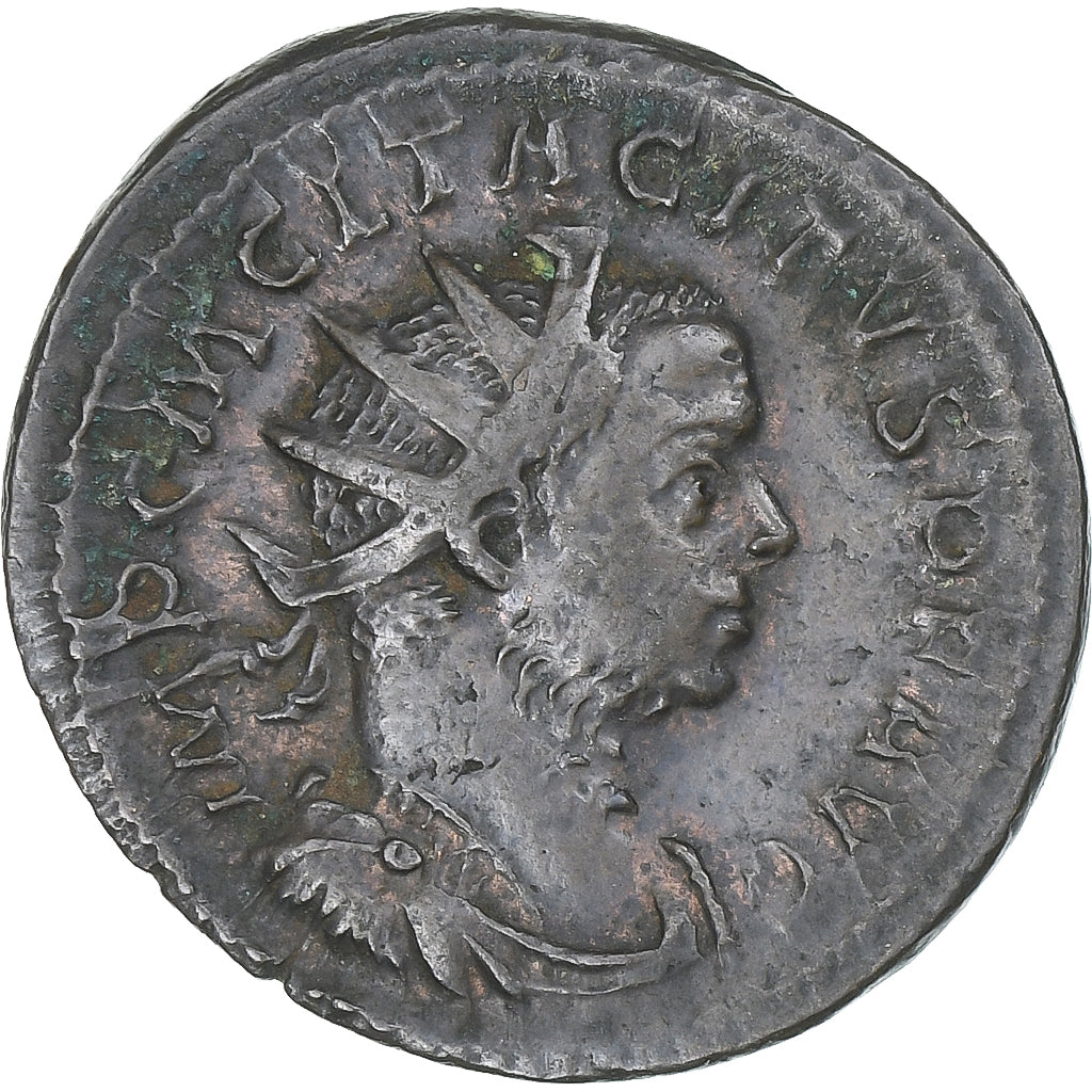 Tacyt, 
  
  Antoninian, 
  
  275-276