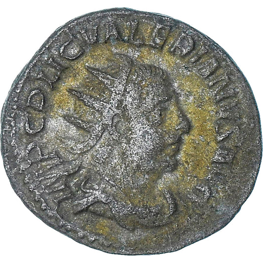 Walerian I, 
  
  Antoninian, 
  
  253-254