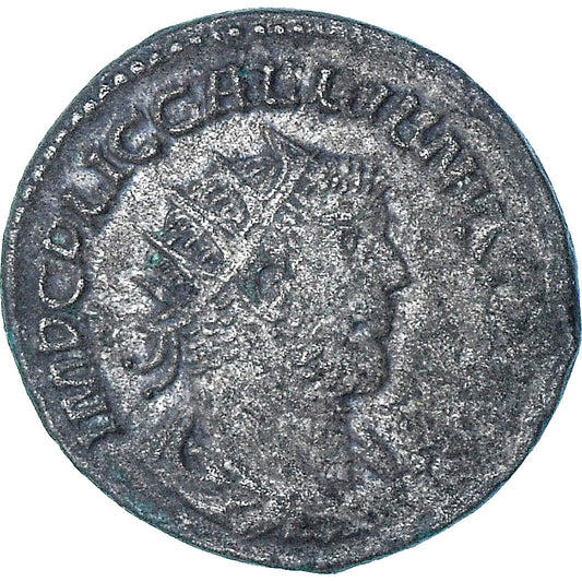 Galienus, 
  
  Antoninian, 
  
  255-256