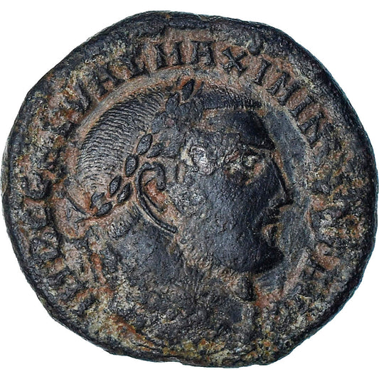 Maksymin II, 
  
  Follis, 
  
  310-311