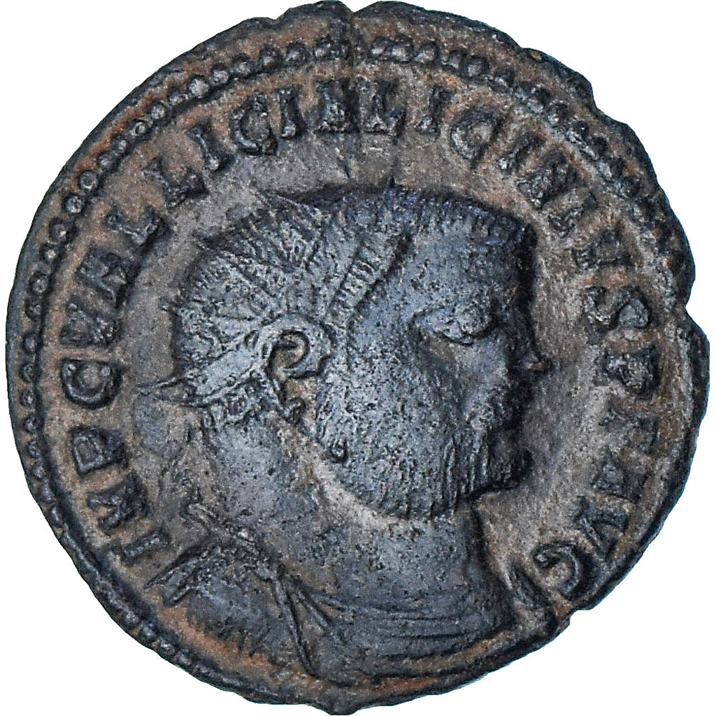 Licyniusz I, 
  
  Follis, 
  
  321-324