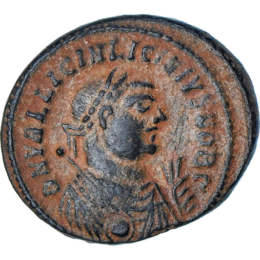 Licyniusz II, 
  
  Follis, 
  
  318-320