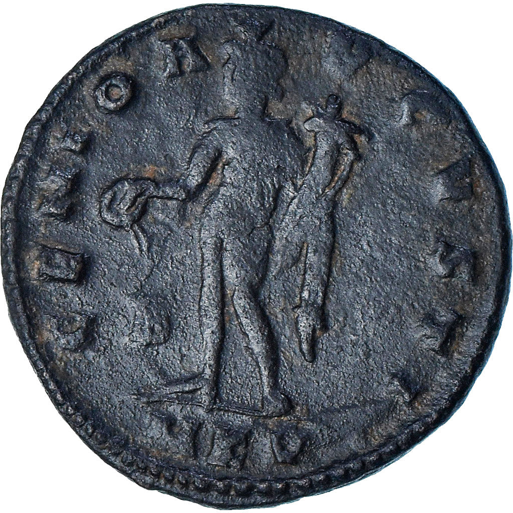 Licyniusz I, 
  
  Follis, 
  
  309-310