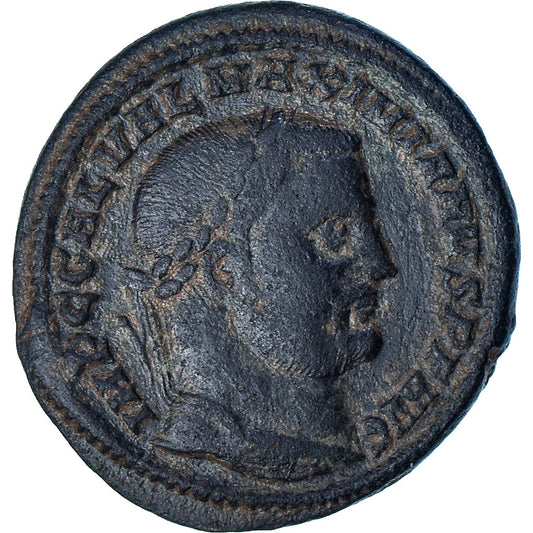 Galeriusz, 
  
  Follis, 
  
  304-305