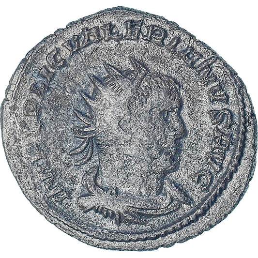 Walerian I, 
  
  Antoninian, 
  
  253