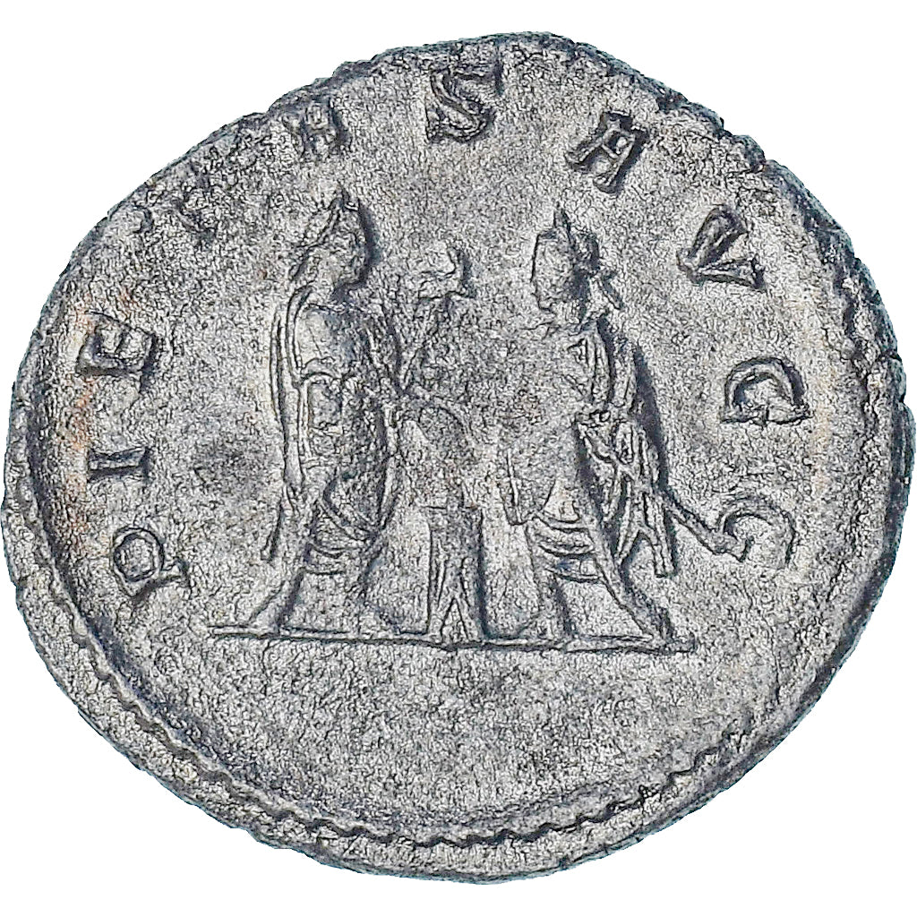 Walerian I, 
  
  Antoninian, 
  
  253