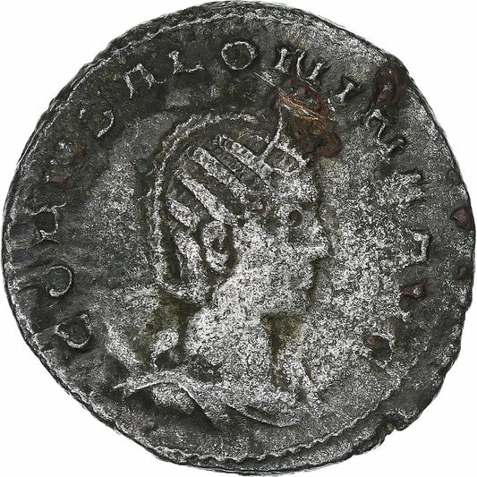 Saloninie, 
  
  Antoninian, 
  
  254-255