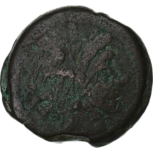 Terencja, 
  
  Jak, 
  
  169-158 p.n.e