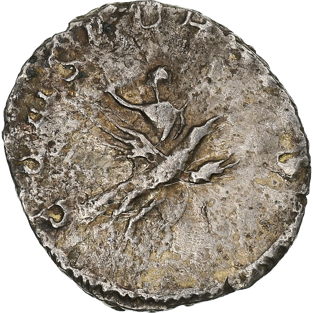 Divus Walerian II, 
  
  Antoninian, 
  
  257-258