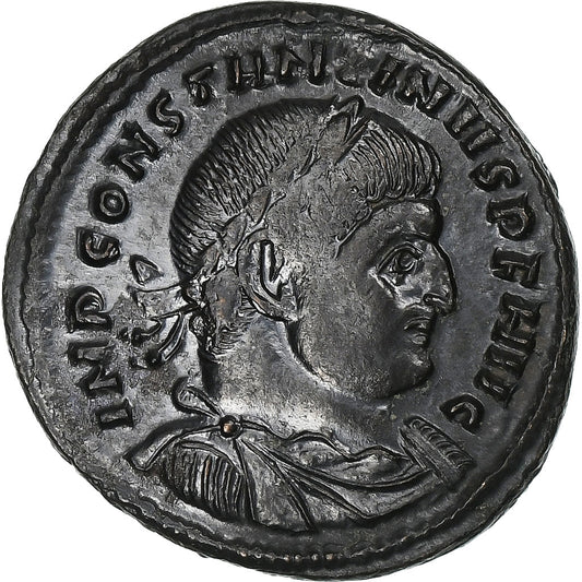 Konstantyn I, 
  
  Follis, 
  
  313