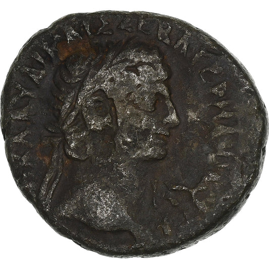 Egipt, 
  
  Klaudiusz, 
  
  Tetradrachma