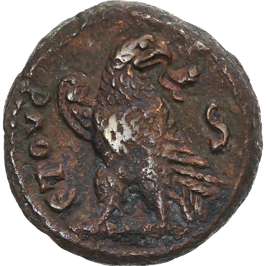 Egipt, 
  
  Seweryna, 
  
  Tetradrachma