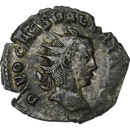 Walerian II, 
  
  Antoninian, 
  
  256-259