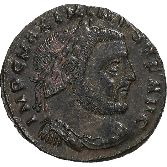 Maksymin II, 
  
  Follis, 
  
  312-313