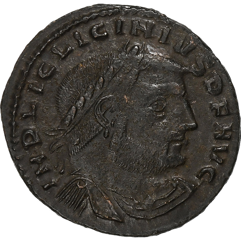 Licyniusz I, 
  
  Follis, 
  
  312-313