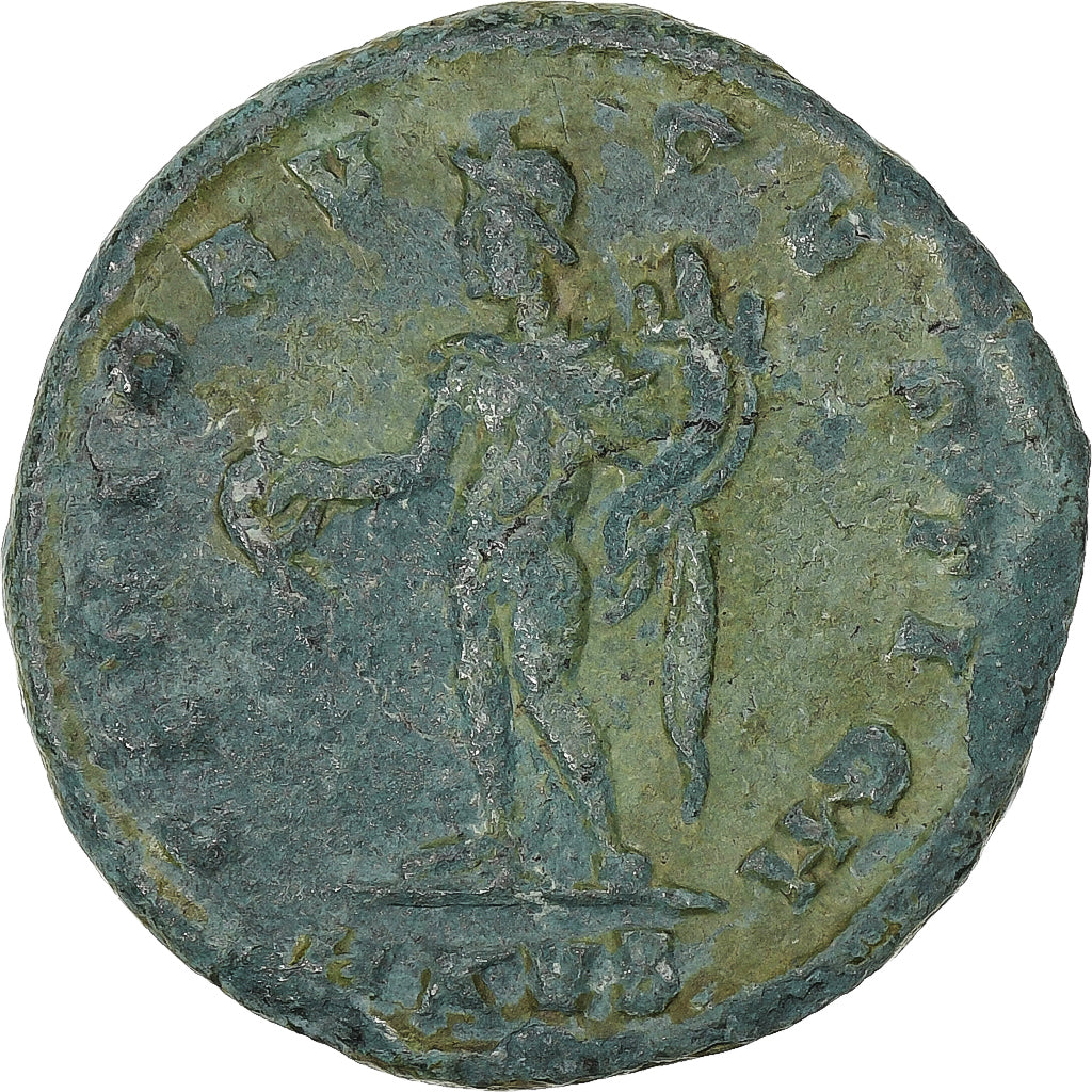 Maksymin II, 
  
  Follis, 
  
  311