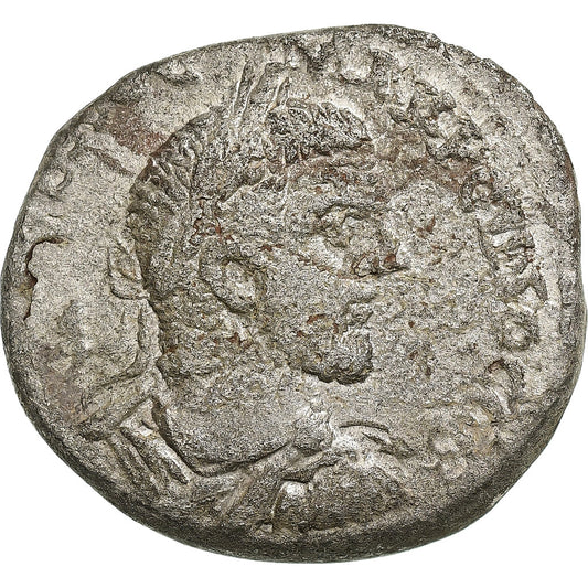 Cyrrhestica, 
  
  Makrynus, 
  
  Tetradrachma