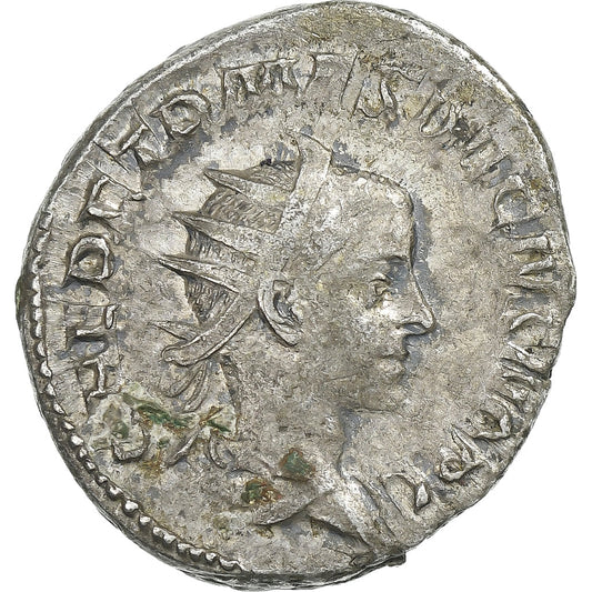 Herenniusz Etruskus, 
  
  Antoninian, 
  
  250-251