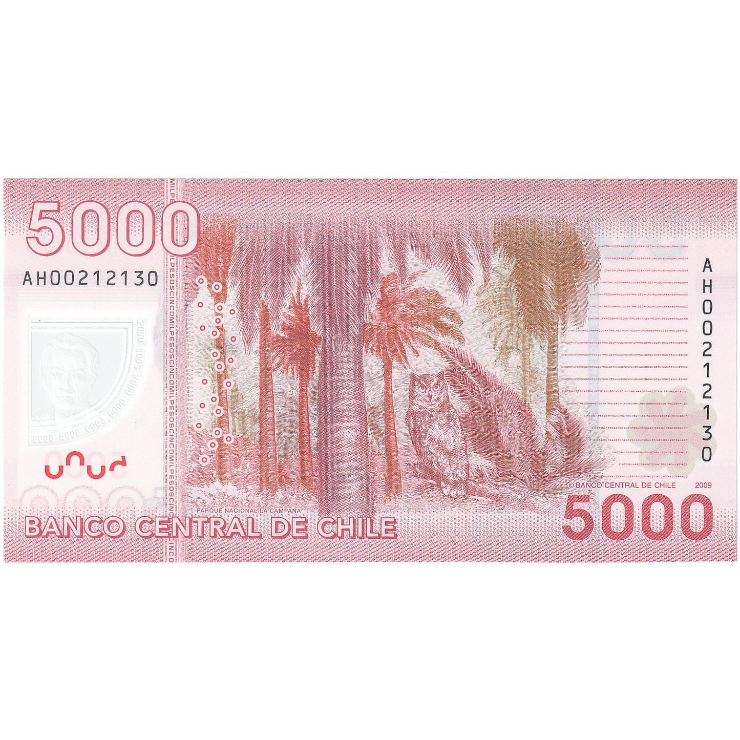 Chile, 
  
  5000 peso, 
  
  2009