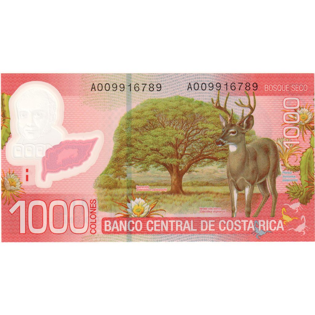 Kostaryka, 
  
  1000 Colonów, 
  
  2009