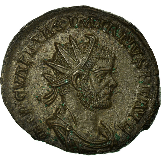 Moneta, 
  
  Maksymian, 
  
  Antoninian