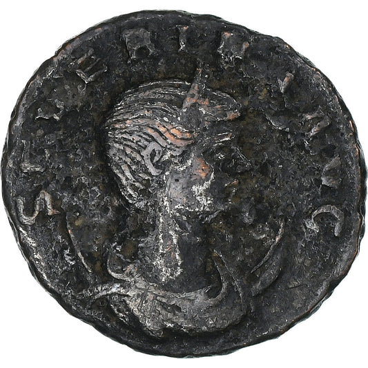 Seweryna, 
  
  Antoninian, 
  
  275