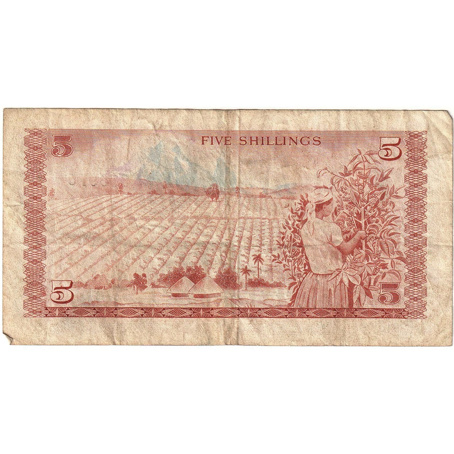 Kenia, 
  
  5 szylingów, 
  
  1978