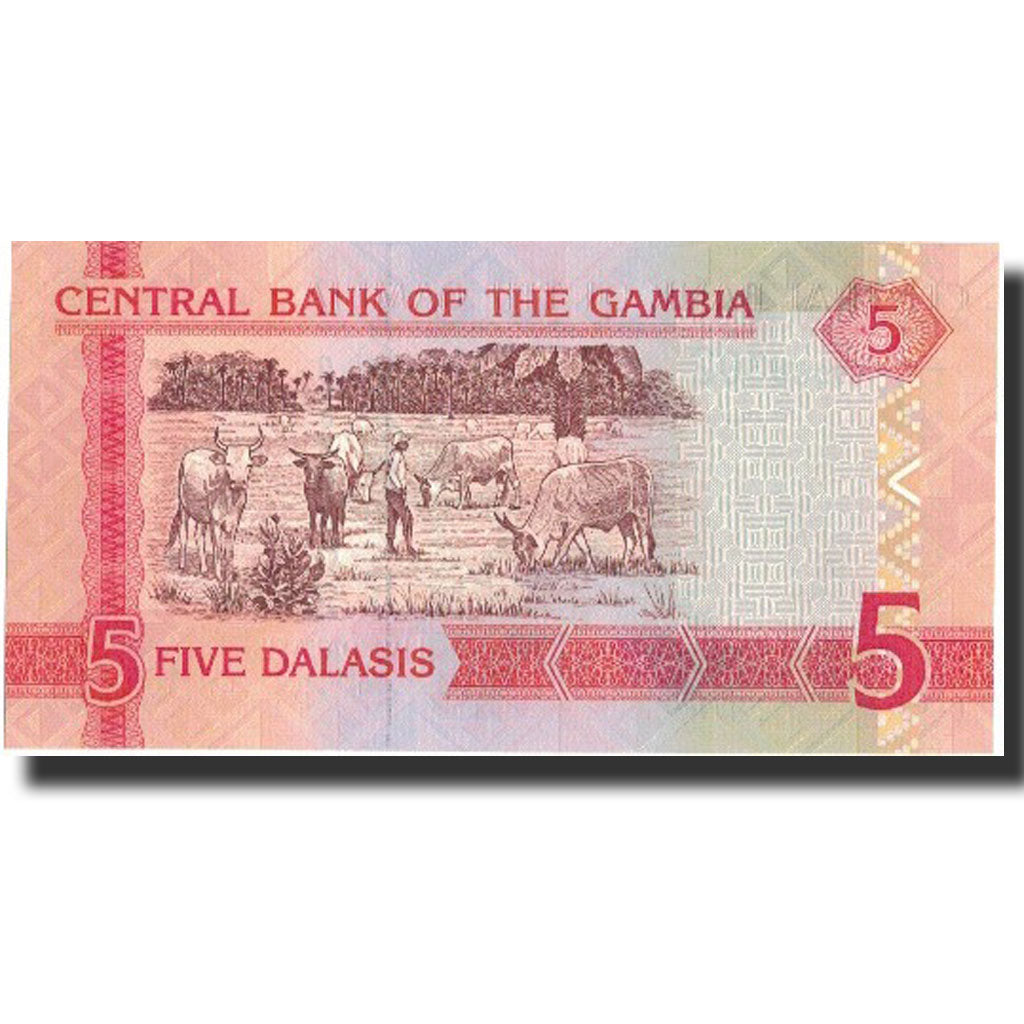 Banknot, 
  
  Gambia, 
  
  5 Dalasis