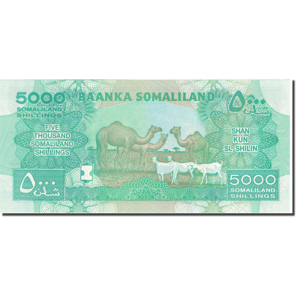 Banknot, 
  
  Somaliland, 
  
  5000 szylingów