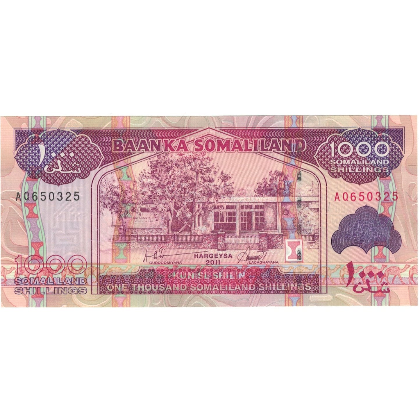 Banknot, 
  
  Somaliland, 
  
  1000 szylingów