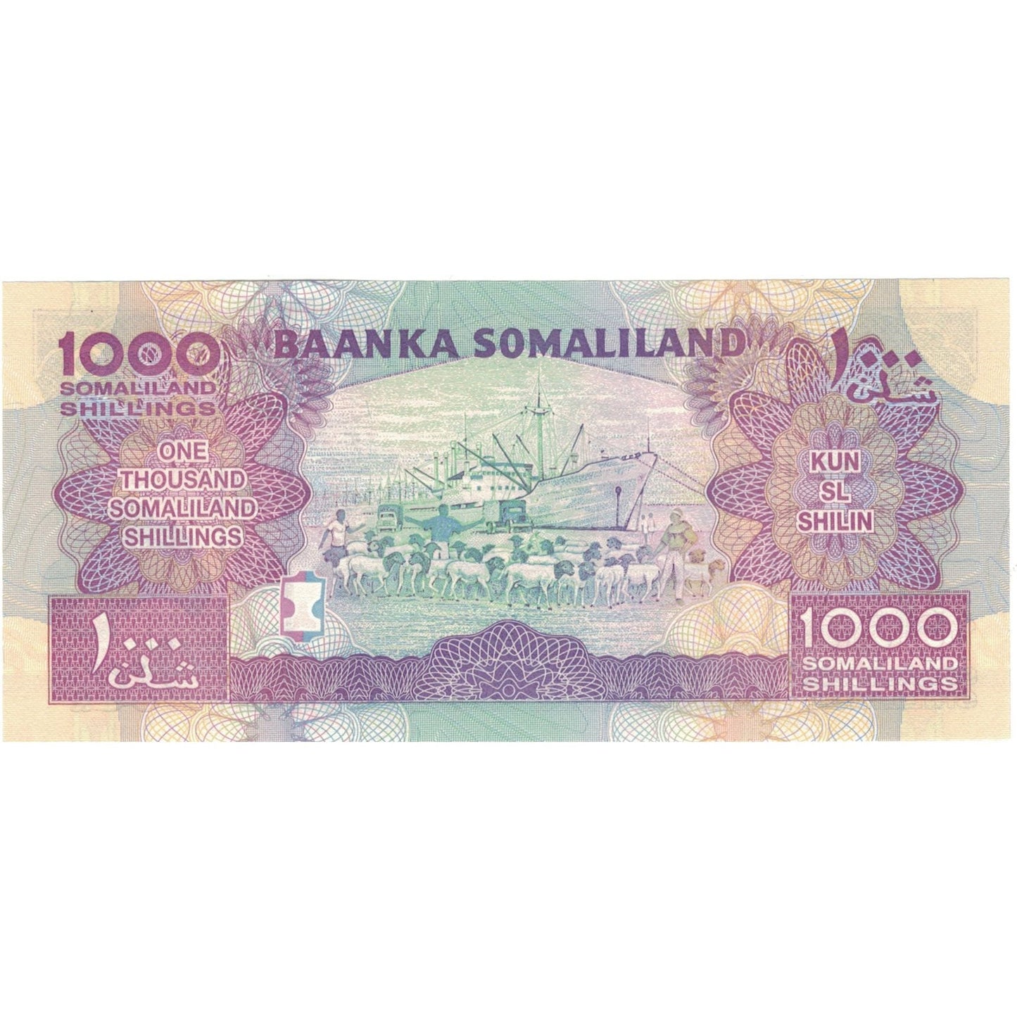 Banknot, 
  
  Somaliland, 
  
  1000 szylingów